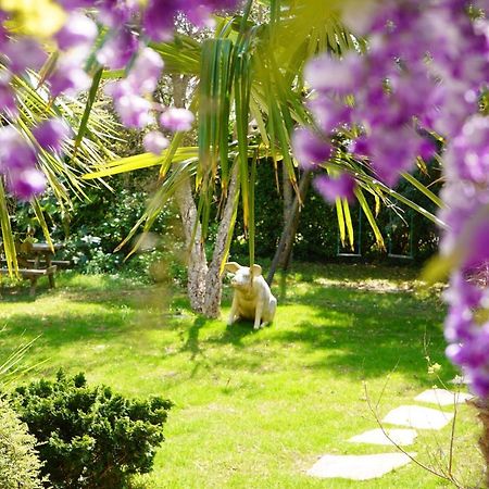بيدار La Cabane D'Arbolateia Piscine & Spa المظهر الخارجي الصورة